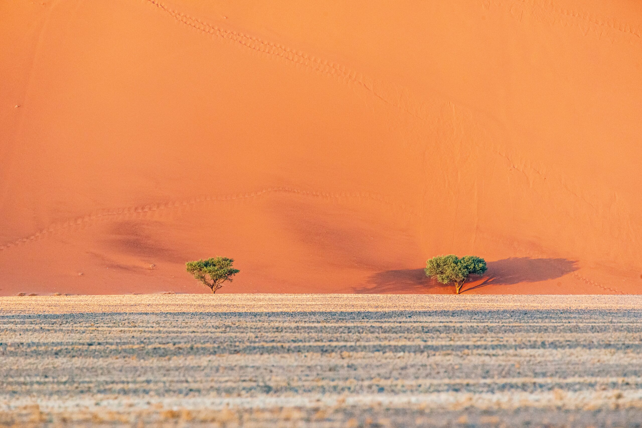 Kalahari and Namib Desert