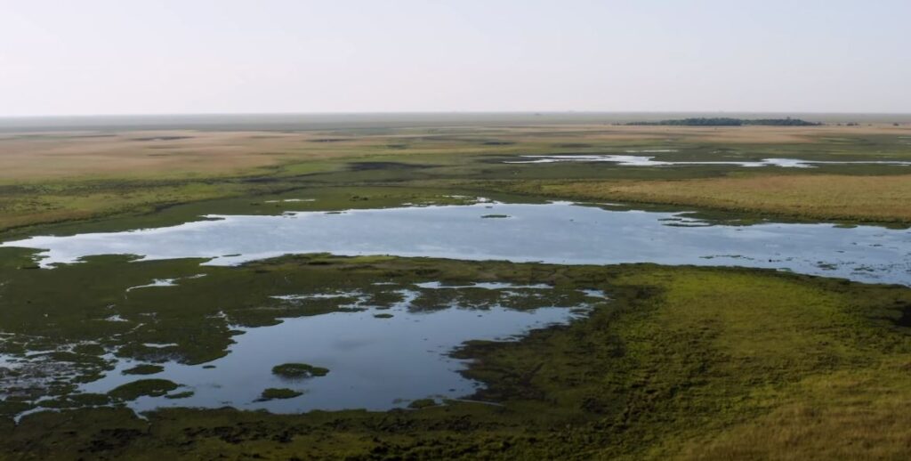 Ibera Wetlands Argentina